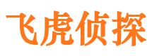 天心市私家侦探